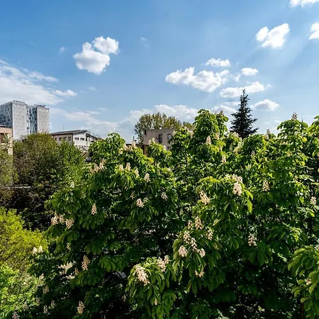 Kneza Milosa Belgrade